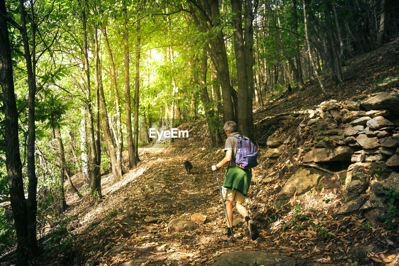 Man walking in mountain forest. male with backpack do hike in the nature. guy goes trekking outdoor