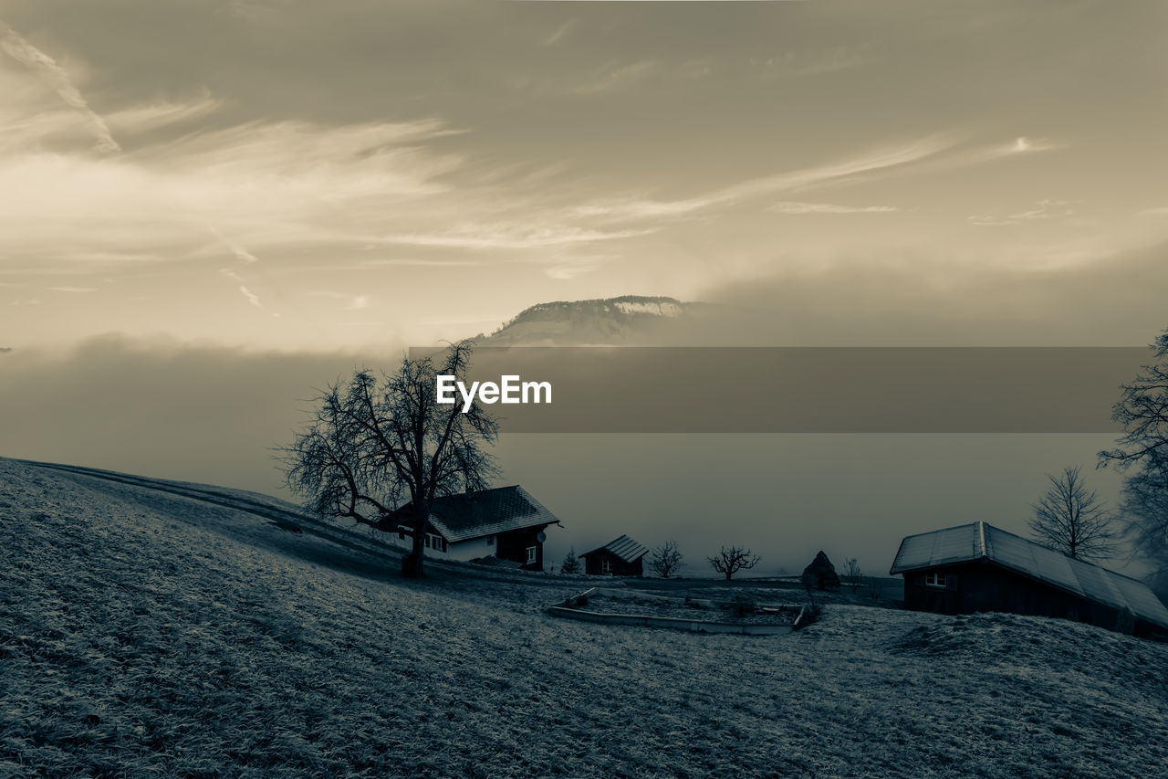 Scenic view of trees and houses against sky during winter