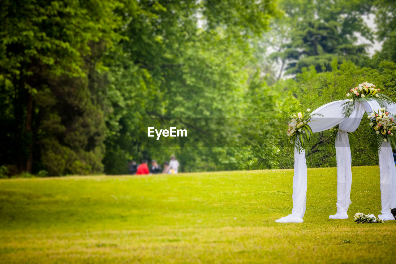 Decoration on grass land against trees in forest