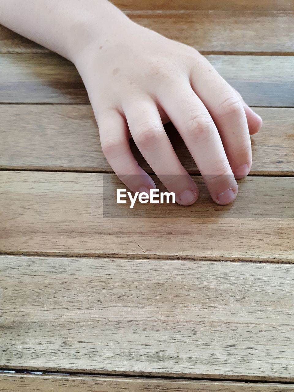 CLOSE-UP OF HANDS HOLDING WOOD