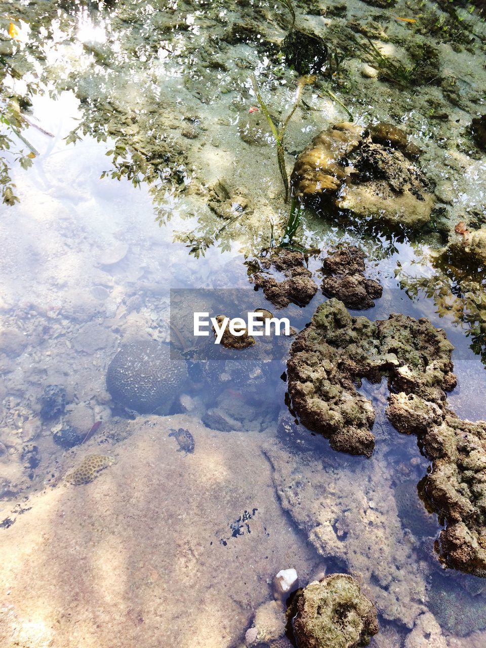 CLOSE-UP HIGH ANGLE VIEW OF WATER IN LAKE