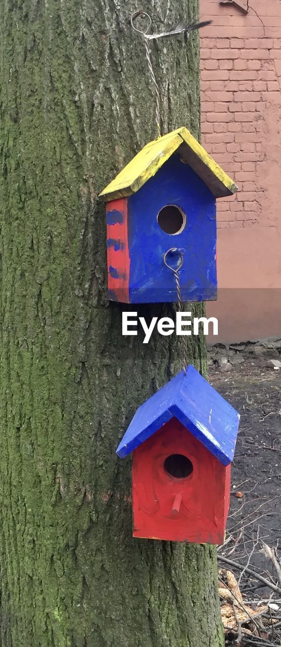 CLOSE-UP OF BIRDHOUSE ON TREE TRUNK