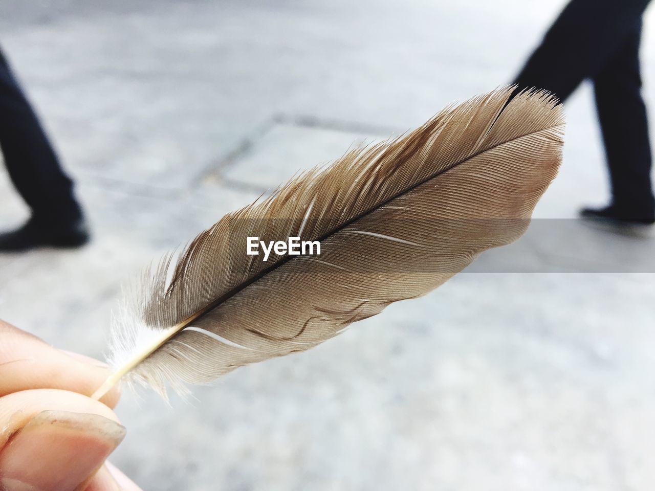 CLOSE-UP OF HAND HOLDING FEATHER AGAINST SKY