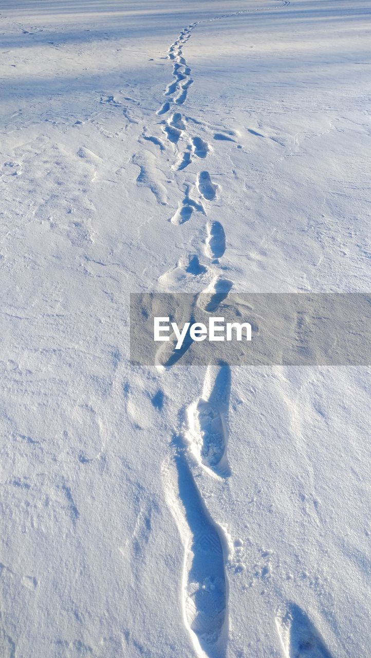 HIGH ANGLE VIEW OF SNOW COVERED LAND ON SNOWY DAY