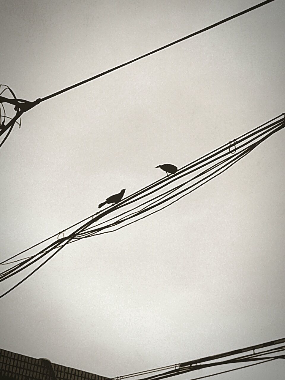 LOW ANGLE VIEW OF POWER LINES