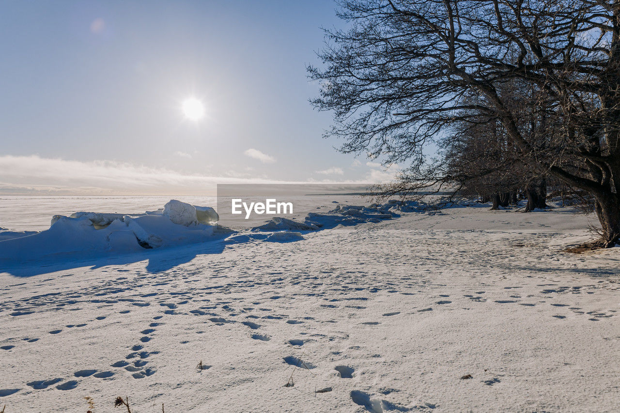scenic view of snow covered field against sky