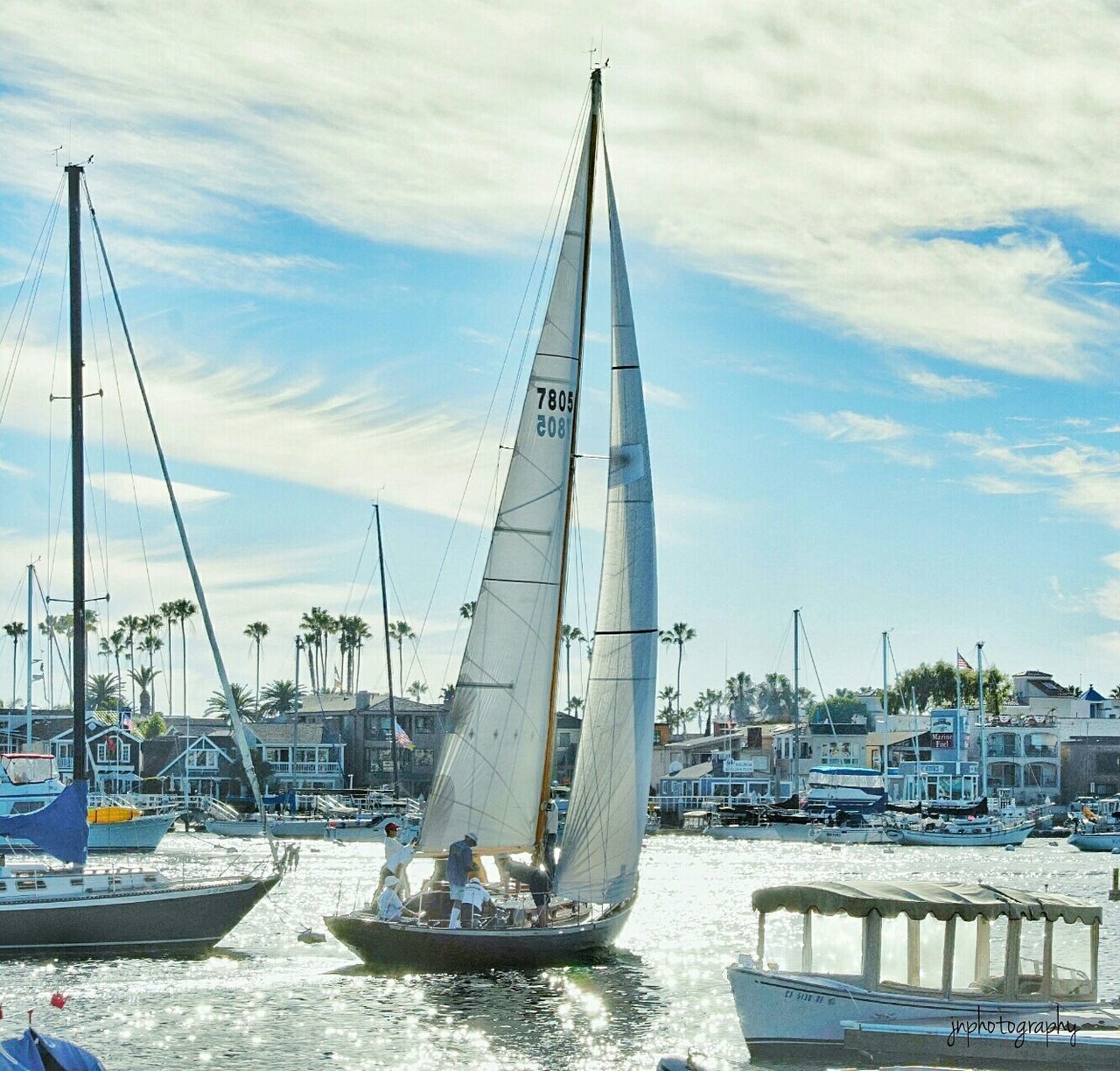SAILBOATS IN SEA