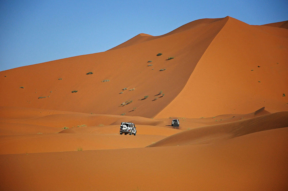 VIEW OF DESERT LANDSCAPE