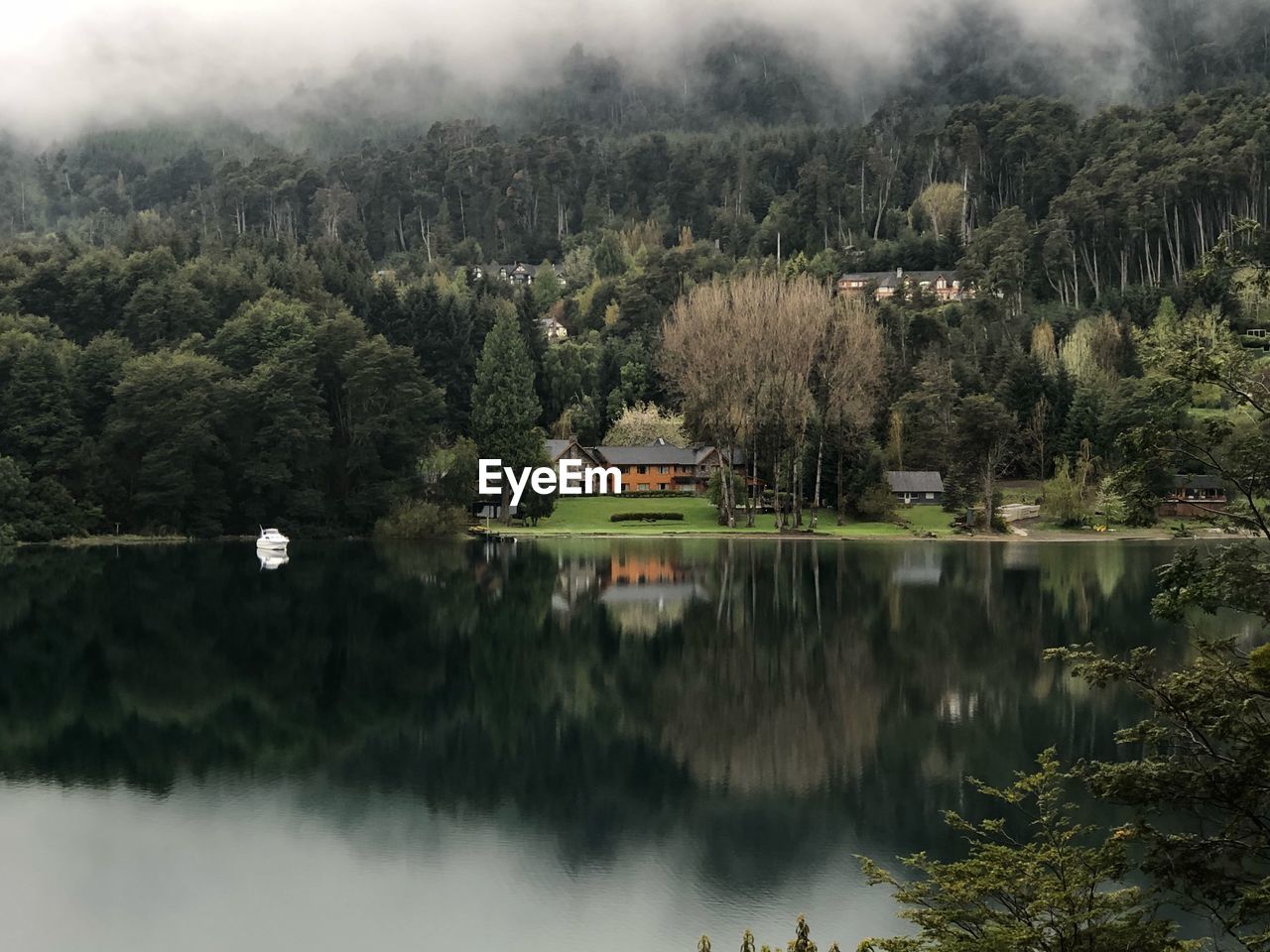 Scenic view of lake in forest