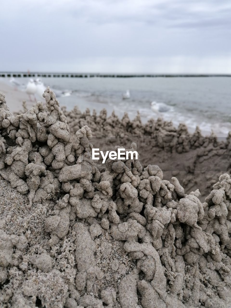 CLOSE-UP OF PEBBLE BEACH