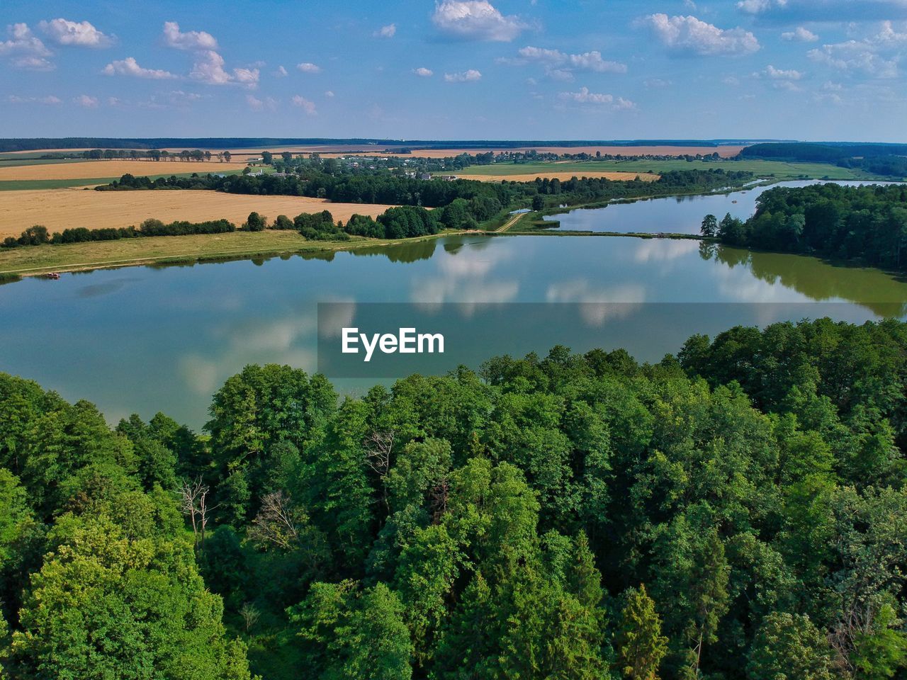 PANORAMIC VIEW OF TREES AND PLANTS AGAINST SKY