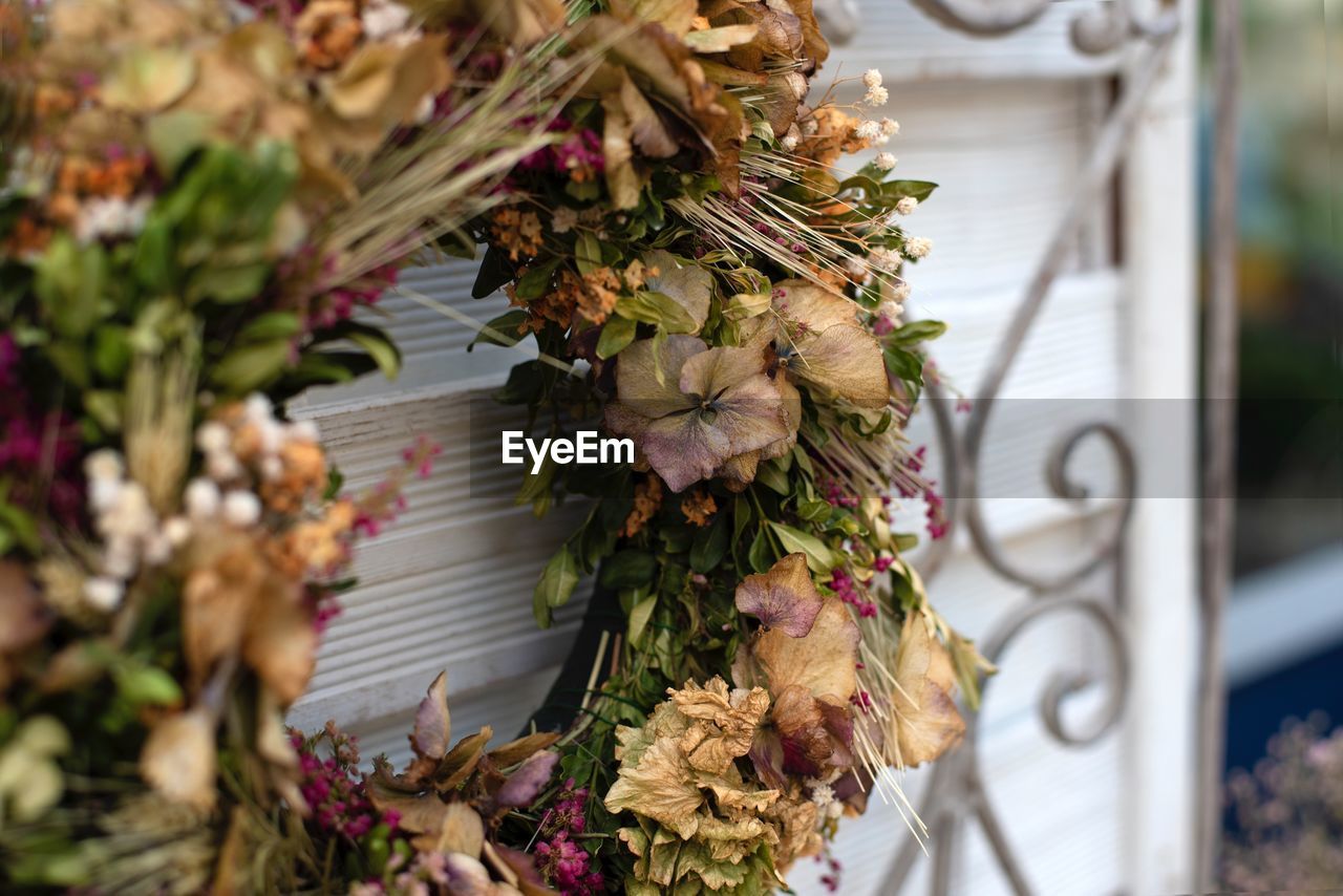 CLOSE-UP OF POTTED PLANT HANGING ON WALL