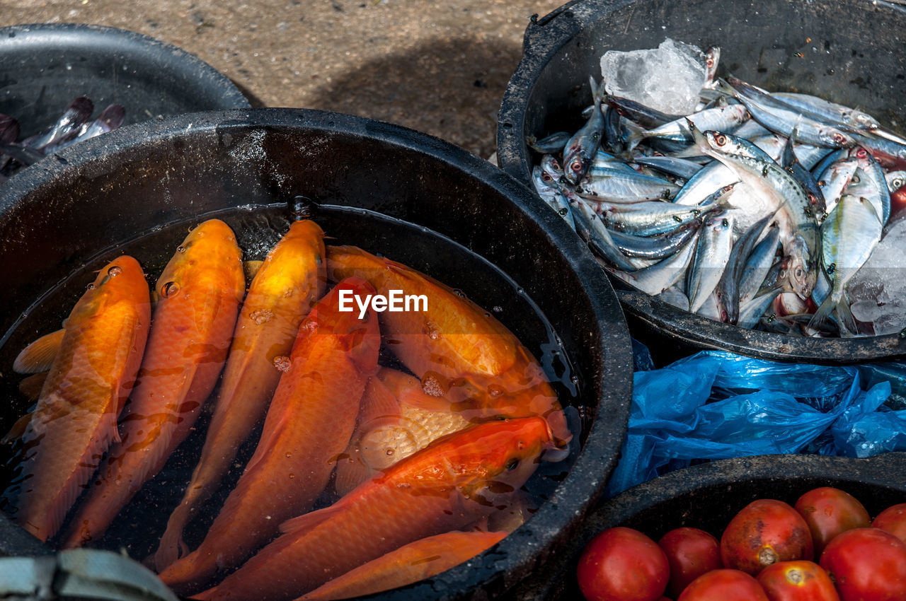 CLOSE-UP OF FISH FOR SALE IN MARKET