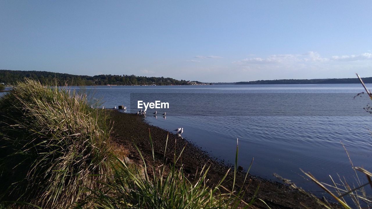 SCENIC VIEW OF CALM LAKE AGAINST SKY