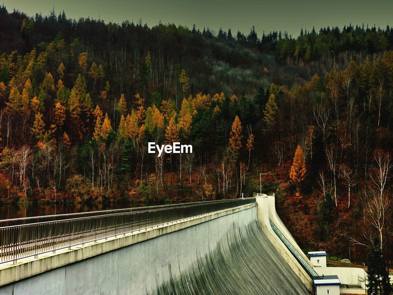 Scenic view of dam and trees in forest