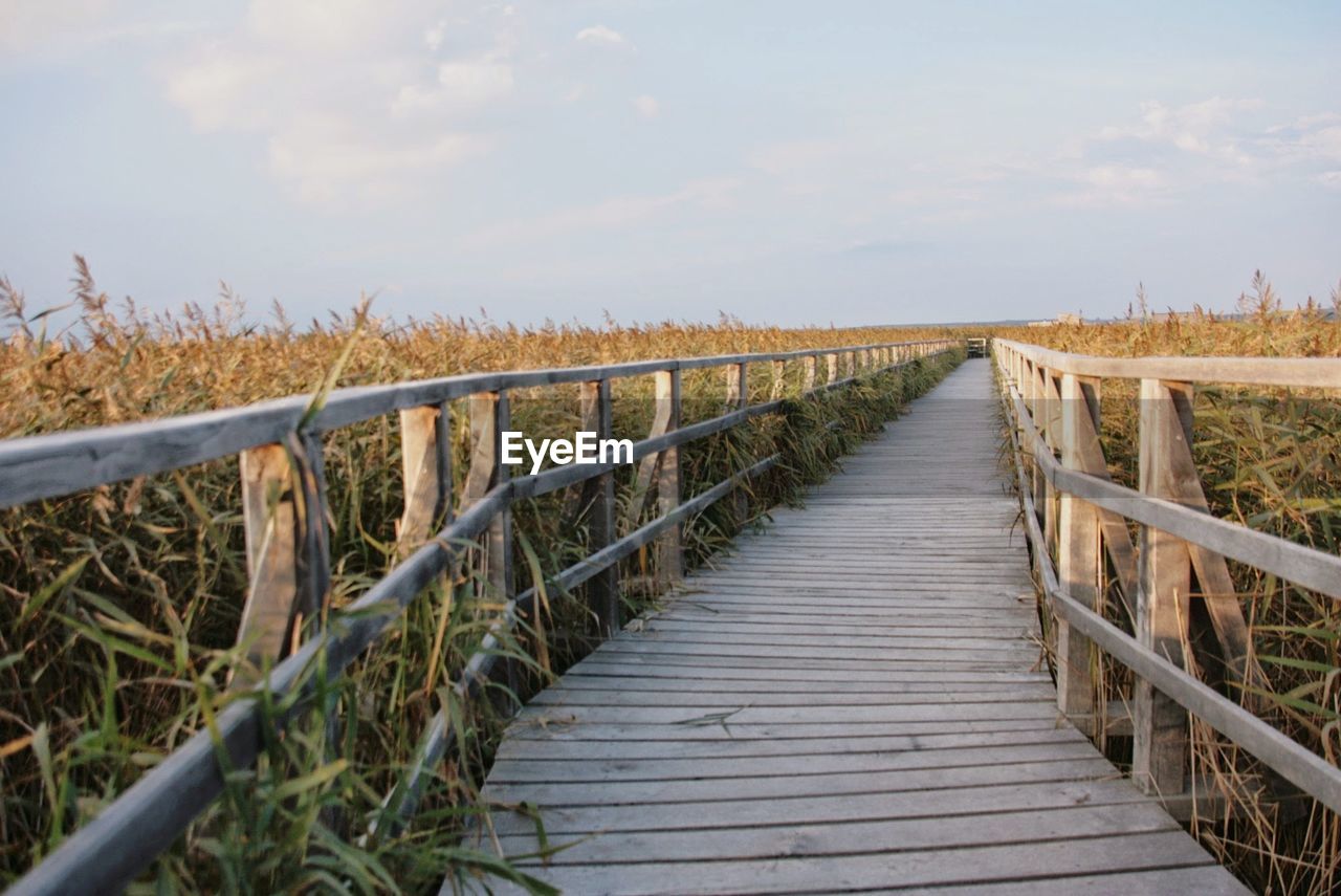 Boardwalk amidst grass against sky
