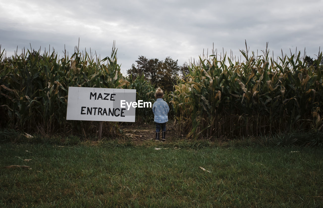 Rear view of girl standing by maze entrance sign at corn field