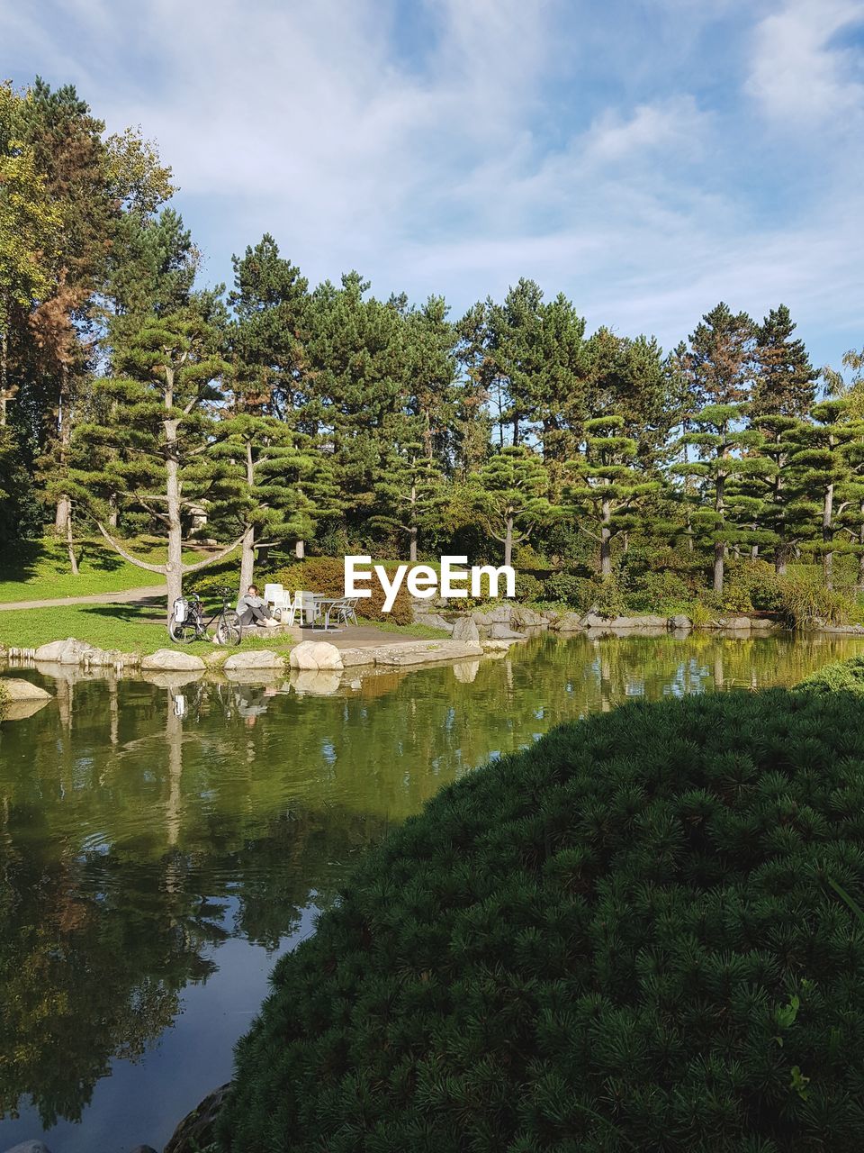 TREES BY LAKE AGAINST SKY