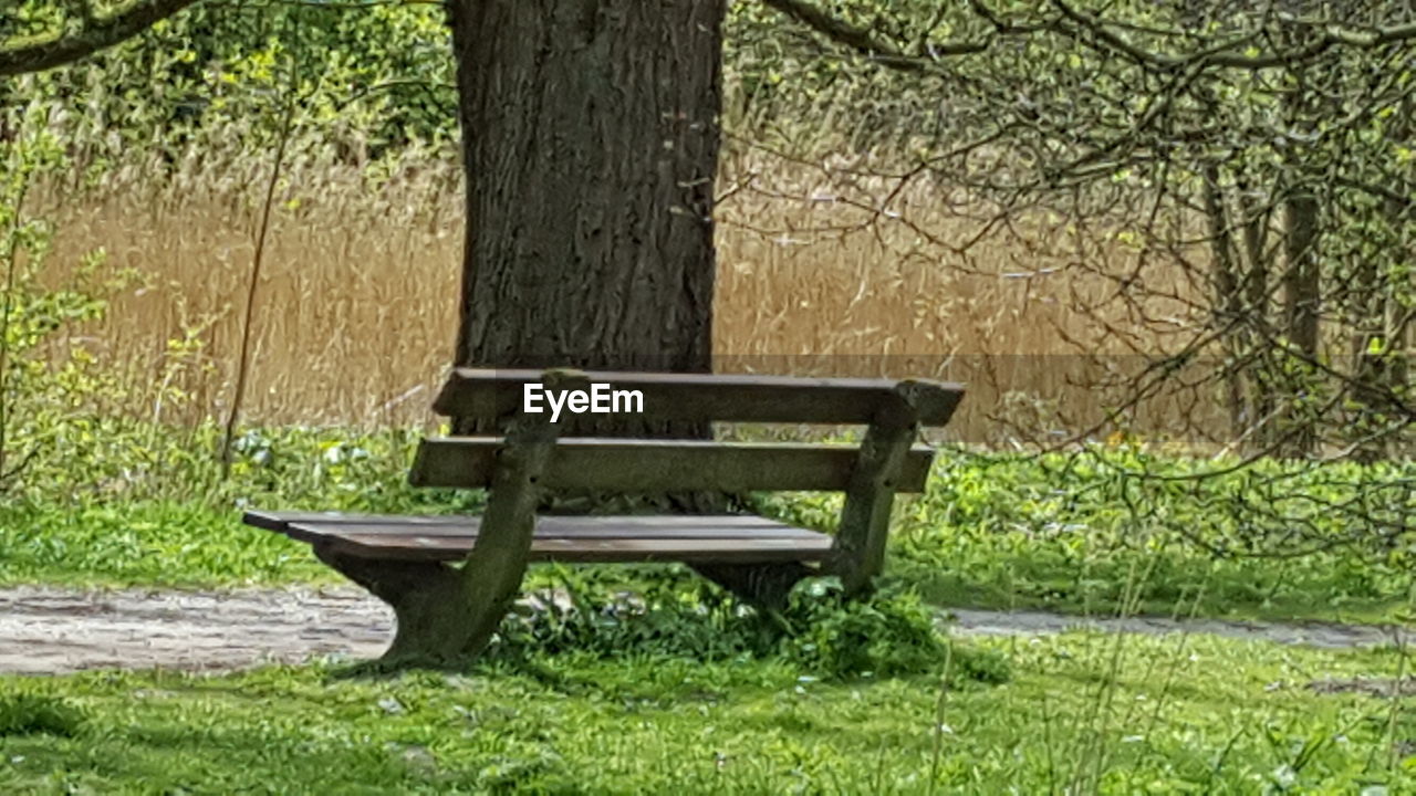 WOODEN BENCH ON GRASSY FIELD