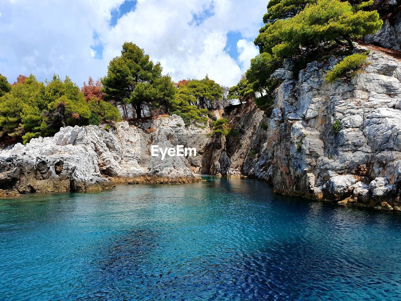 PLANTS GROWING ON ROCK AGAINST SKY