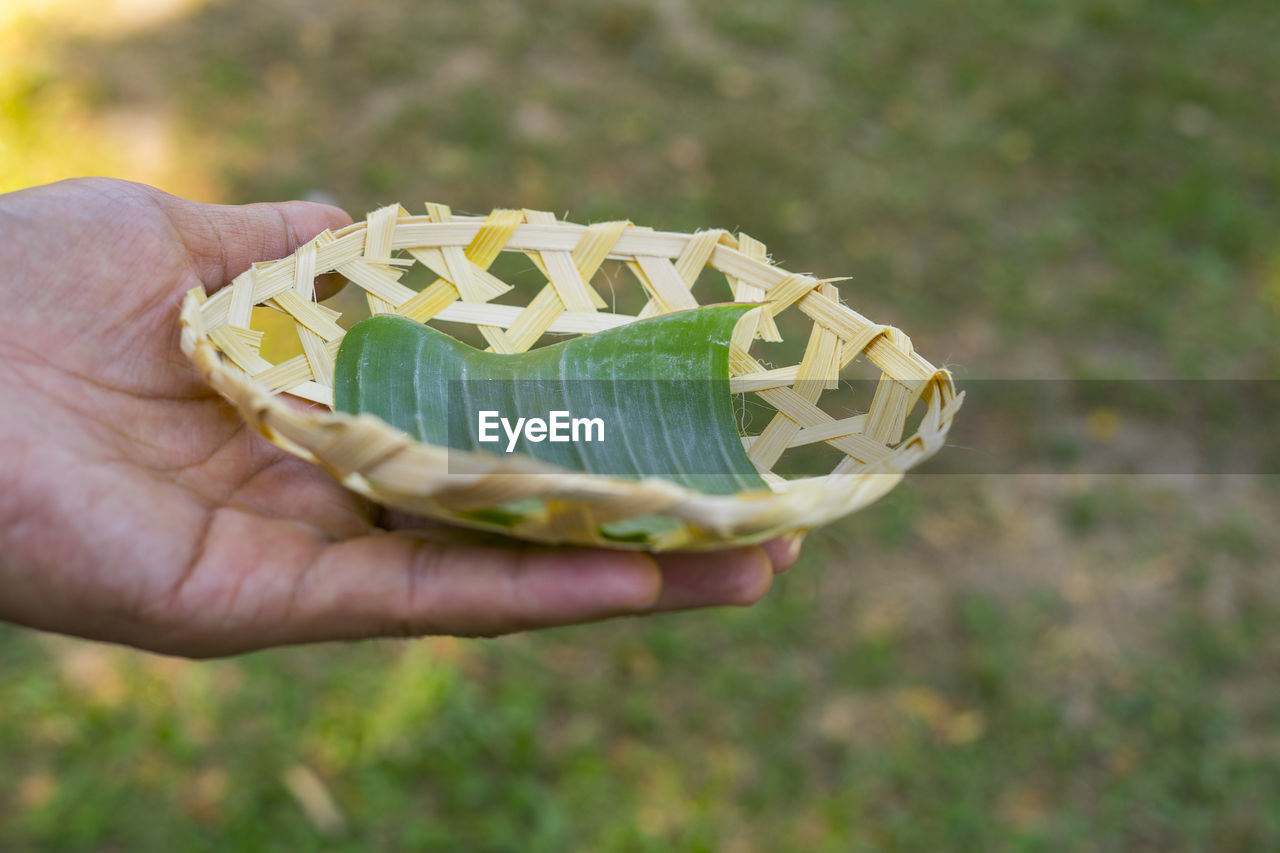 CLOSE-UP OF HAND HOLDING BREAD AGAINST LEAF