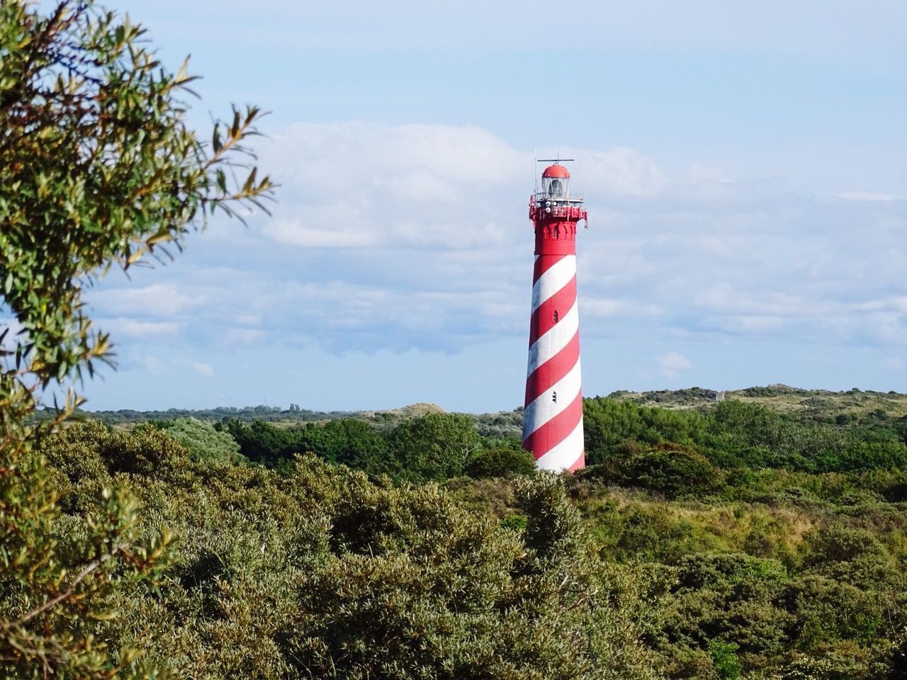 Lighthouse in forest against sky