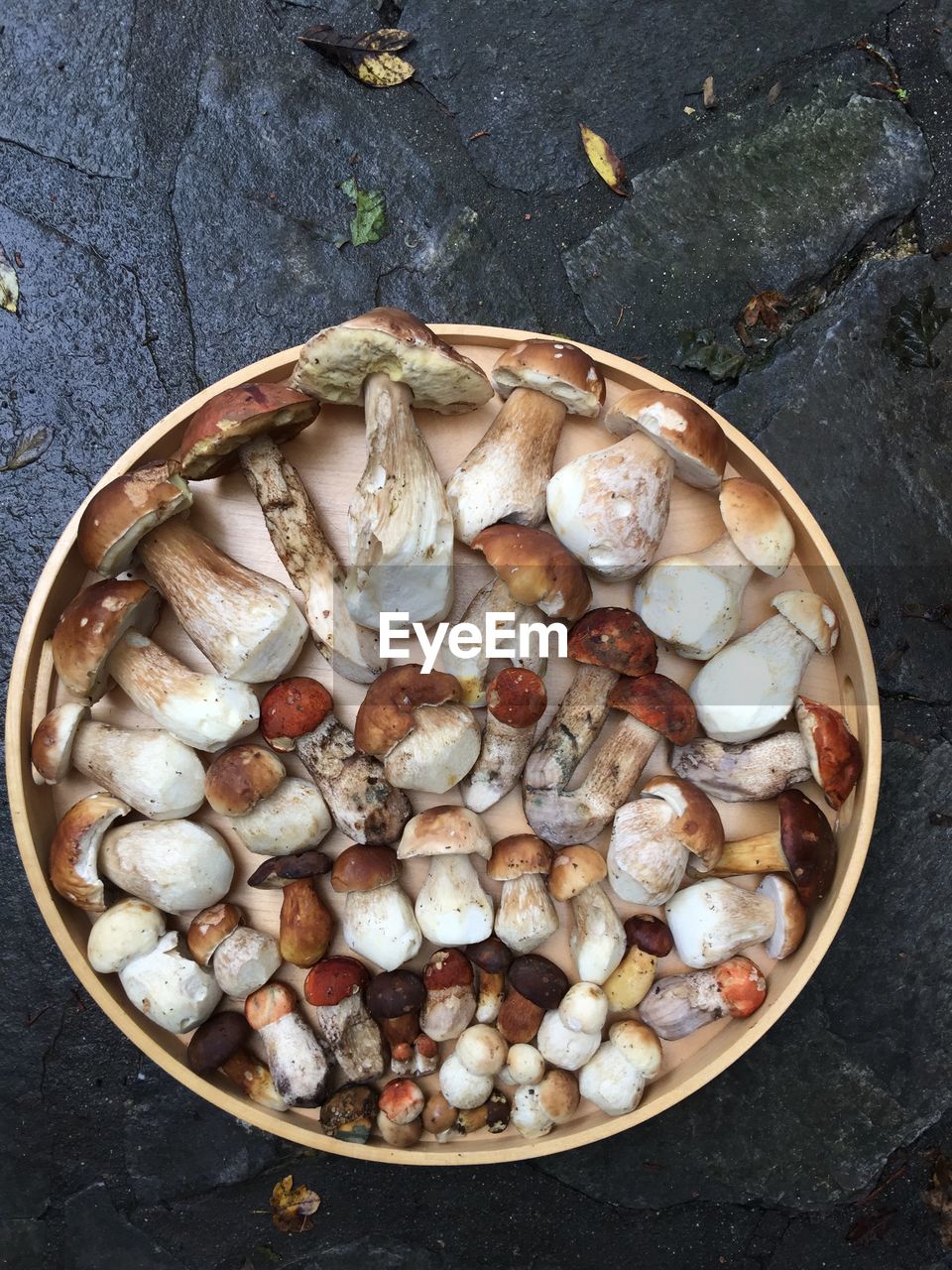 Mushrooms on the plate forest healthy food vegetarian 