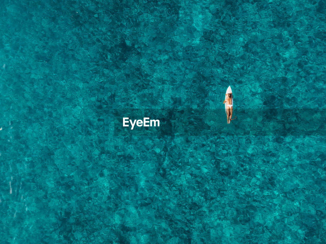 high angle view of man swimming in water