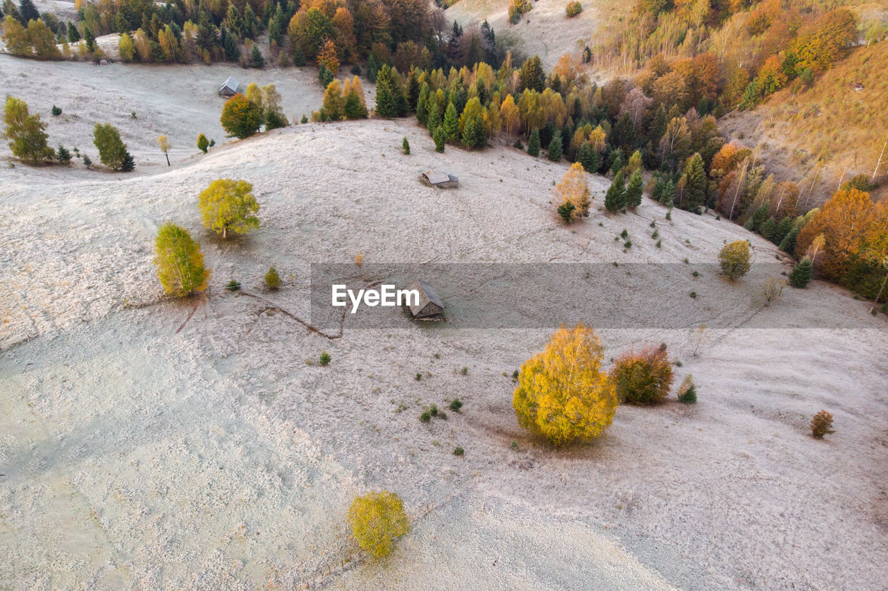 AUTUMN LEAVES ON A LAND