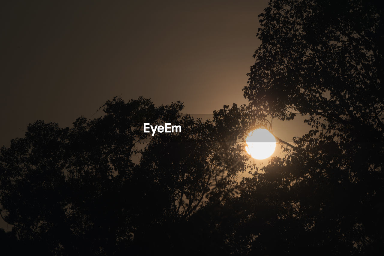 LOW ANGLE VIEW OF SILHOUETTE TREE AGAINST SKY AT SUNSET