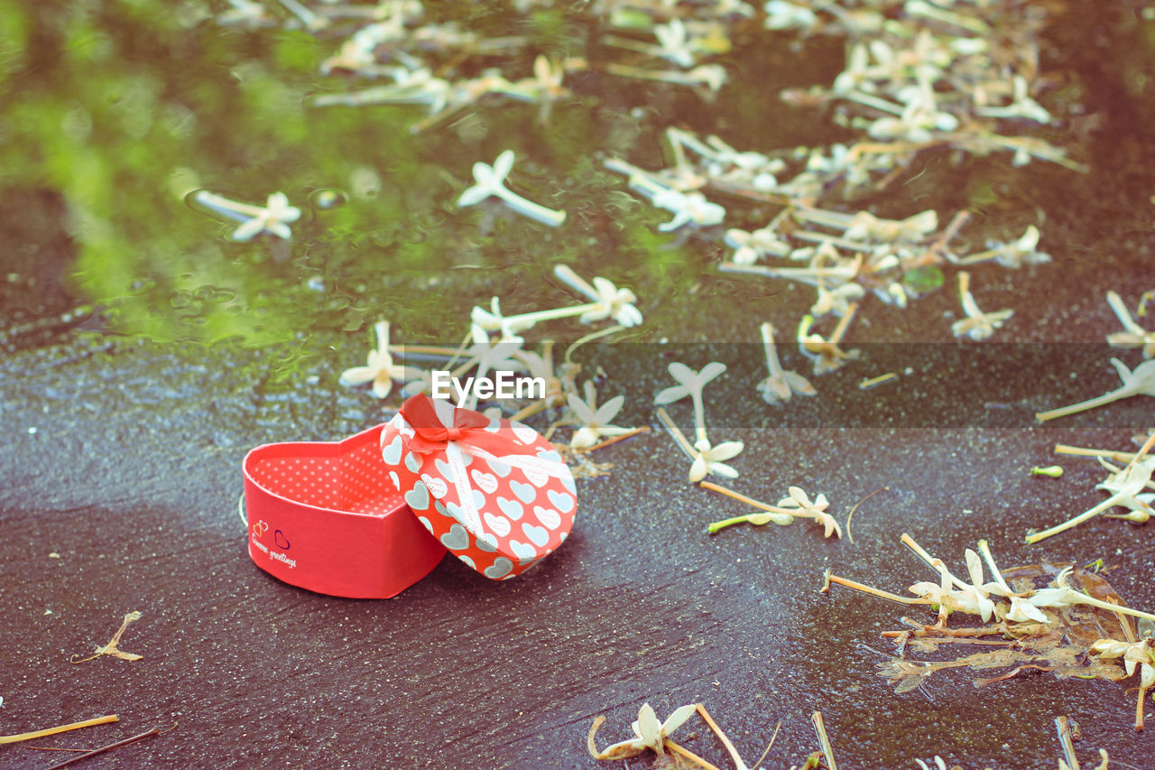 HIGH ANGLE VIEW OF RED LEAVES AND TABLE