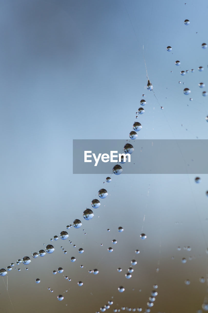 Close-up of water drops on spider web against sky