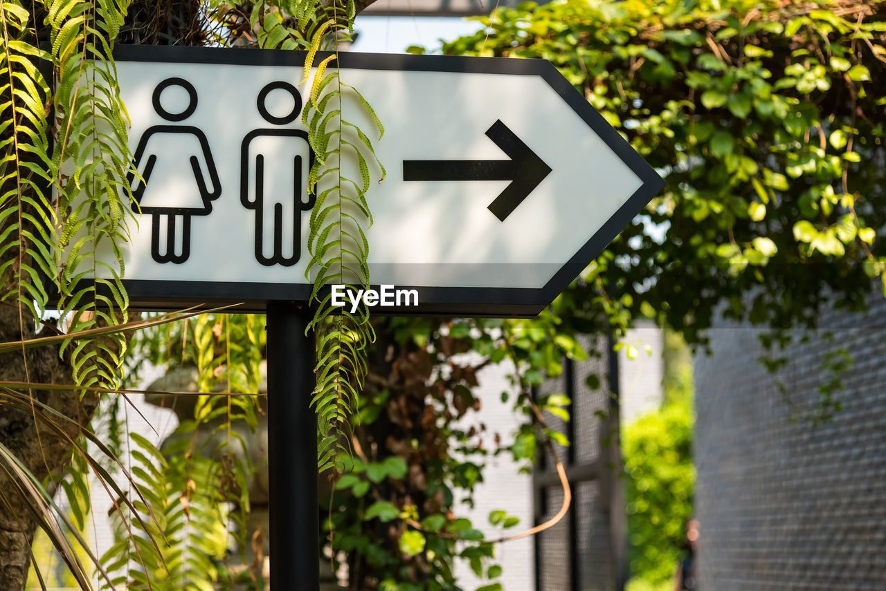 Close-up of signboard against trees