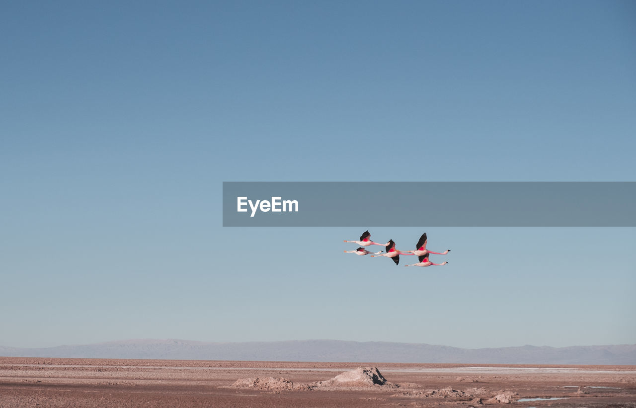 PEOPLE ENJOYING IN DESERT AGAINST SKY