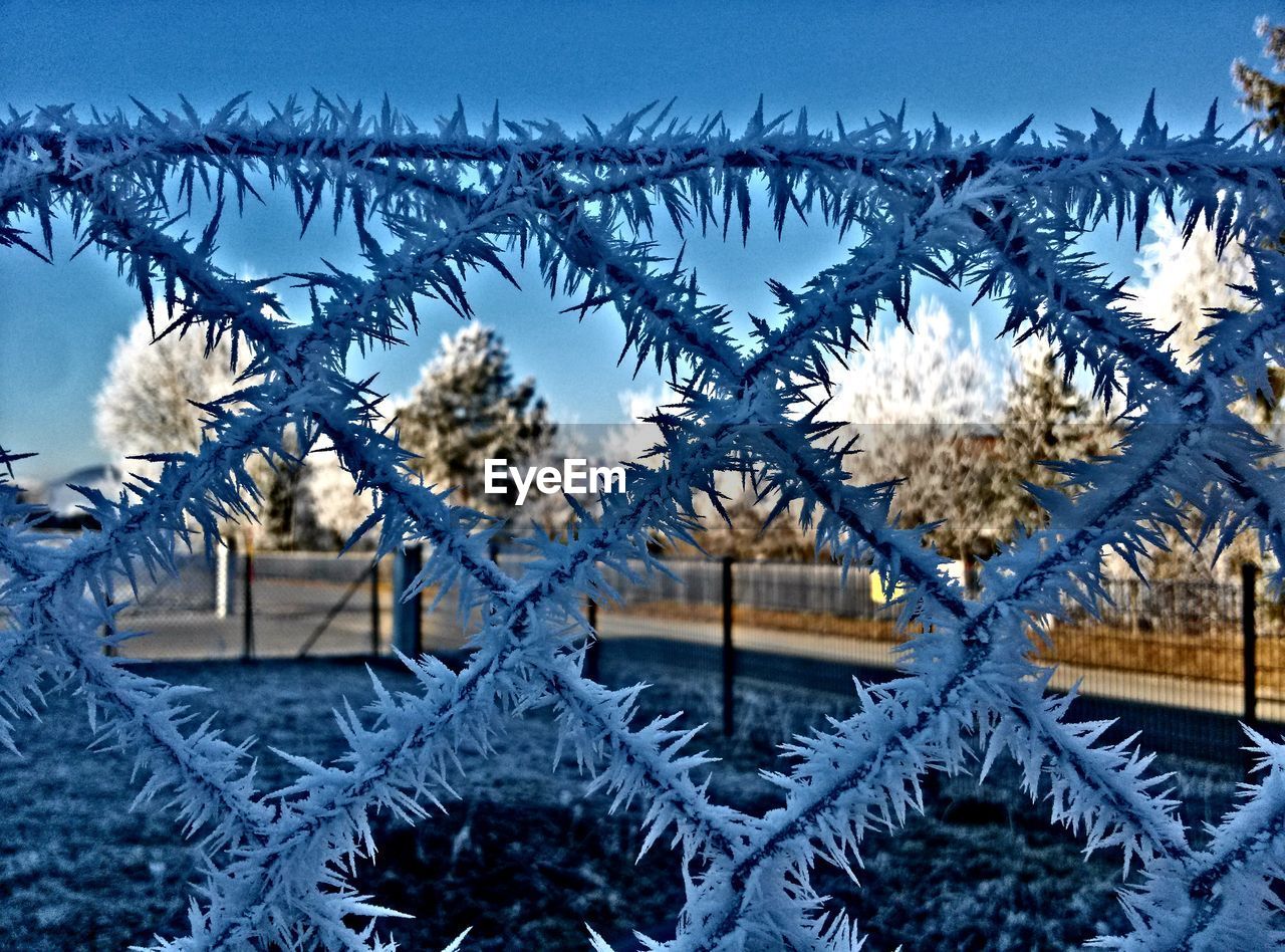 Close-up of frost on chainlink fence during winter