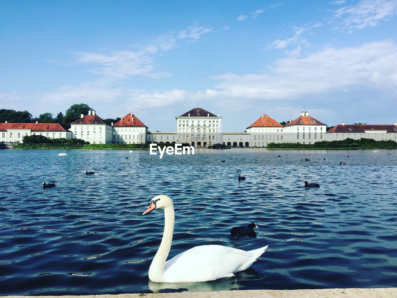 SWAN SWIMMING ON LAKE AGAINST SKY