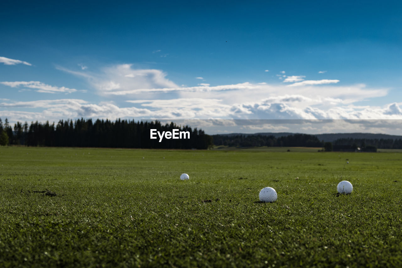 SCENIC VIEW OF GRASSY LANDSCAPE AGAINST CLOUDY SKY