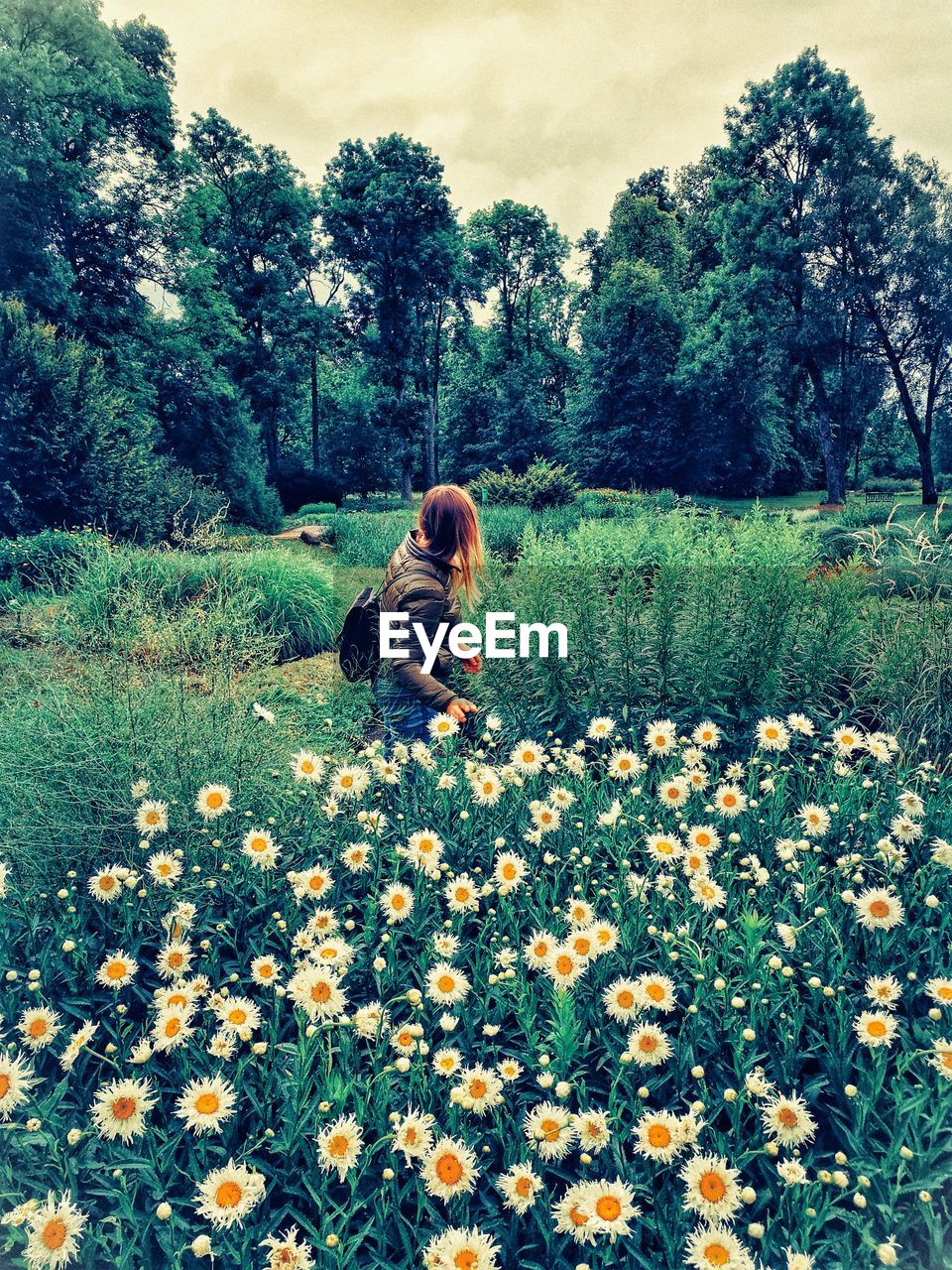 Woman walking on flowering field against trees