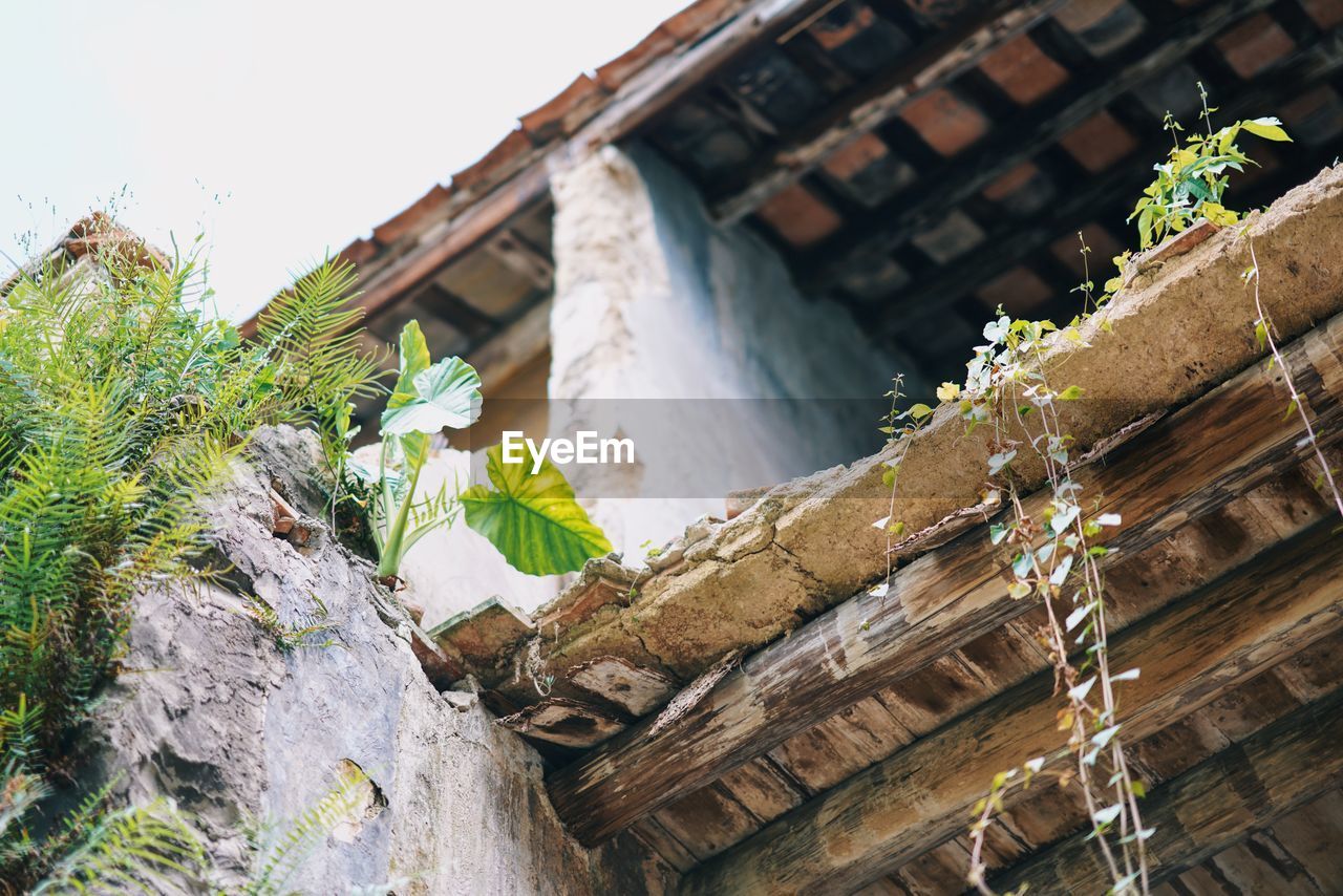 LOW ANGLE VIEW OF TEMPLE AGAINST BUILDING