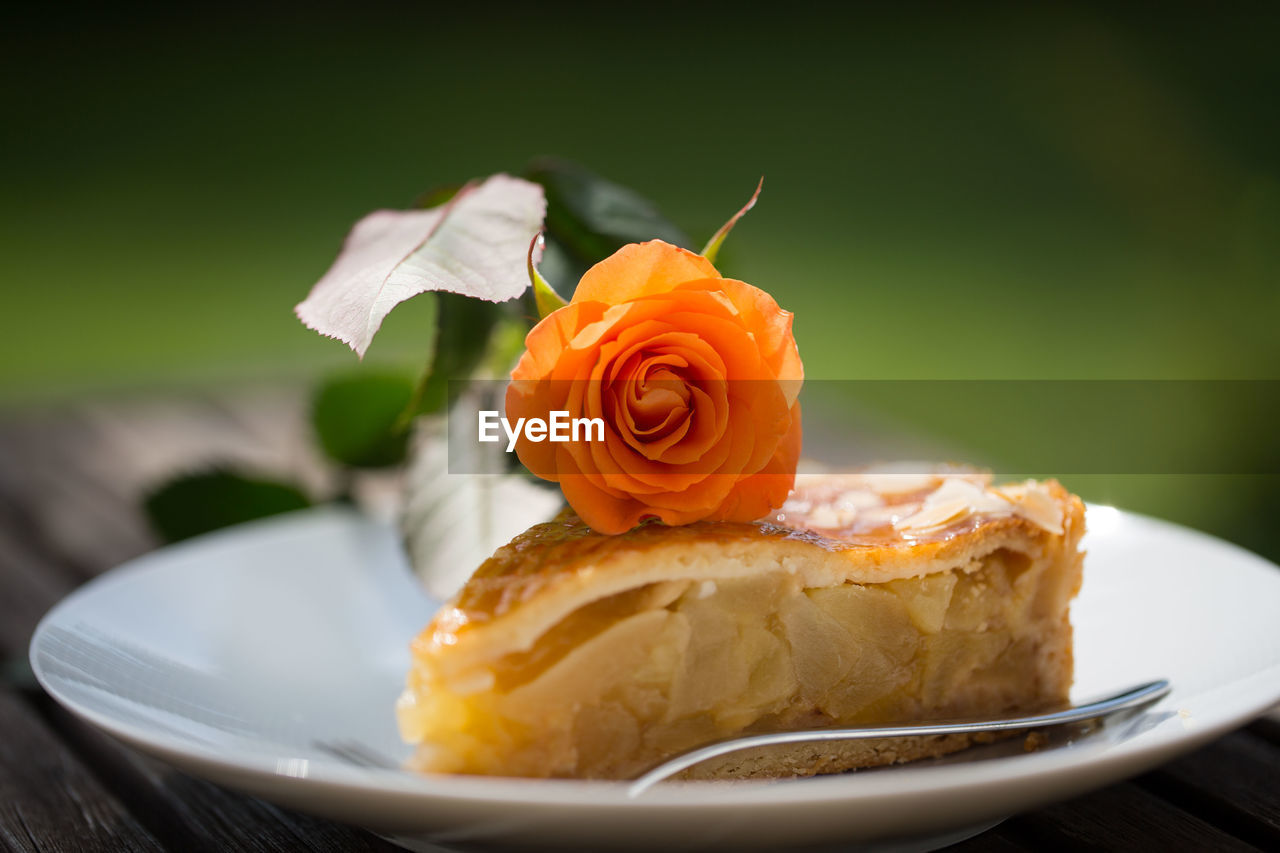 Close-up of orange rose and dessert on plate