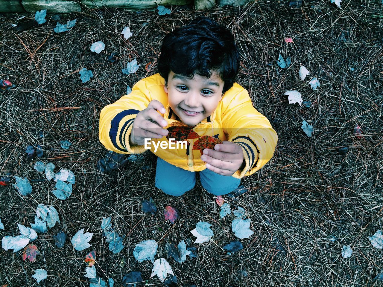 High angle view of boy crouching on messy field and holding leaves