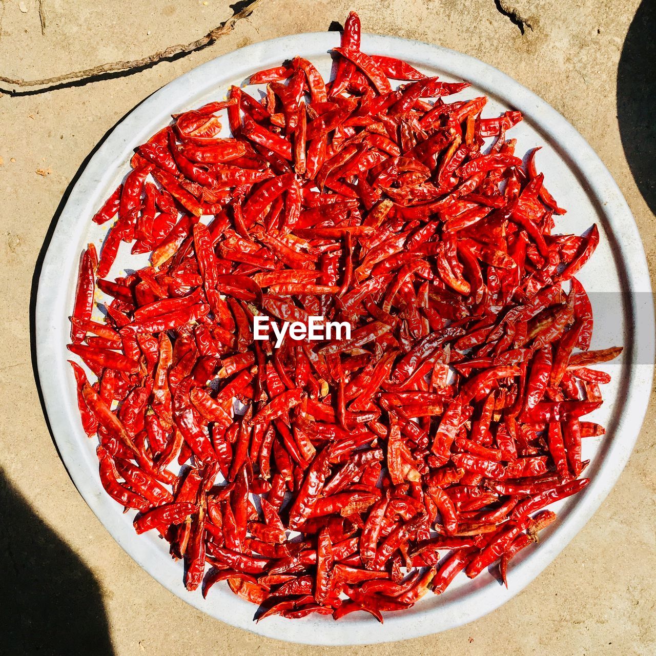 High angle view of red chili peppers on a silver tablet drying in the sunlight 