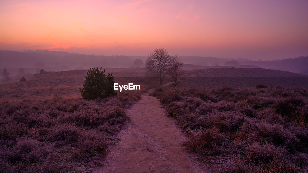 Dirt road amidst trees on field against sky during sunset