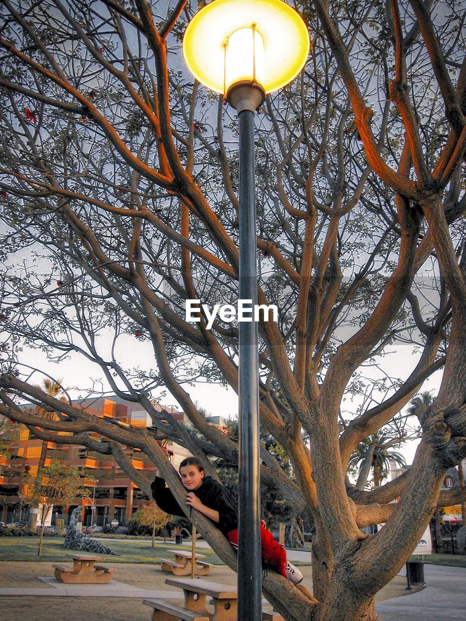 Girl lying on bare tree by illuminated lamp post at park