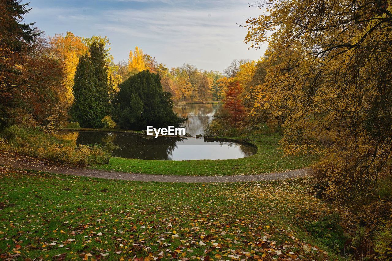 Scenic view of lake amidst trees during autumn