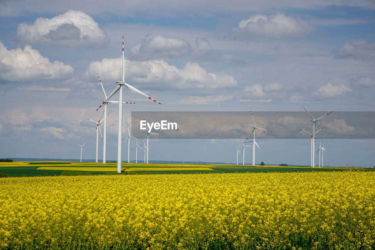 View of oilseed rape field against sky. wind power plant.