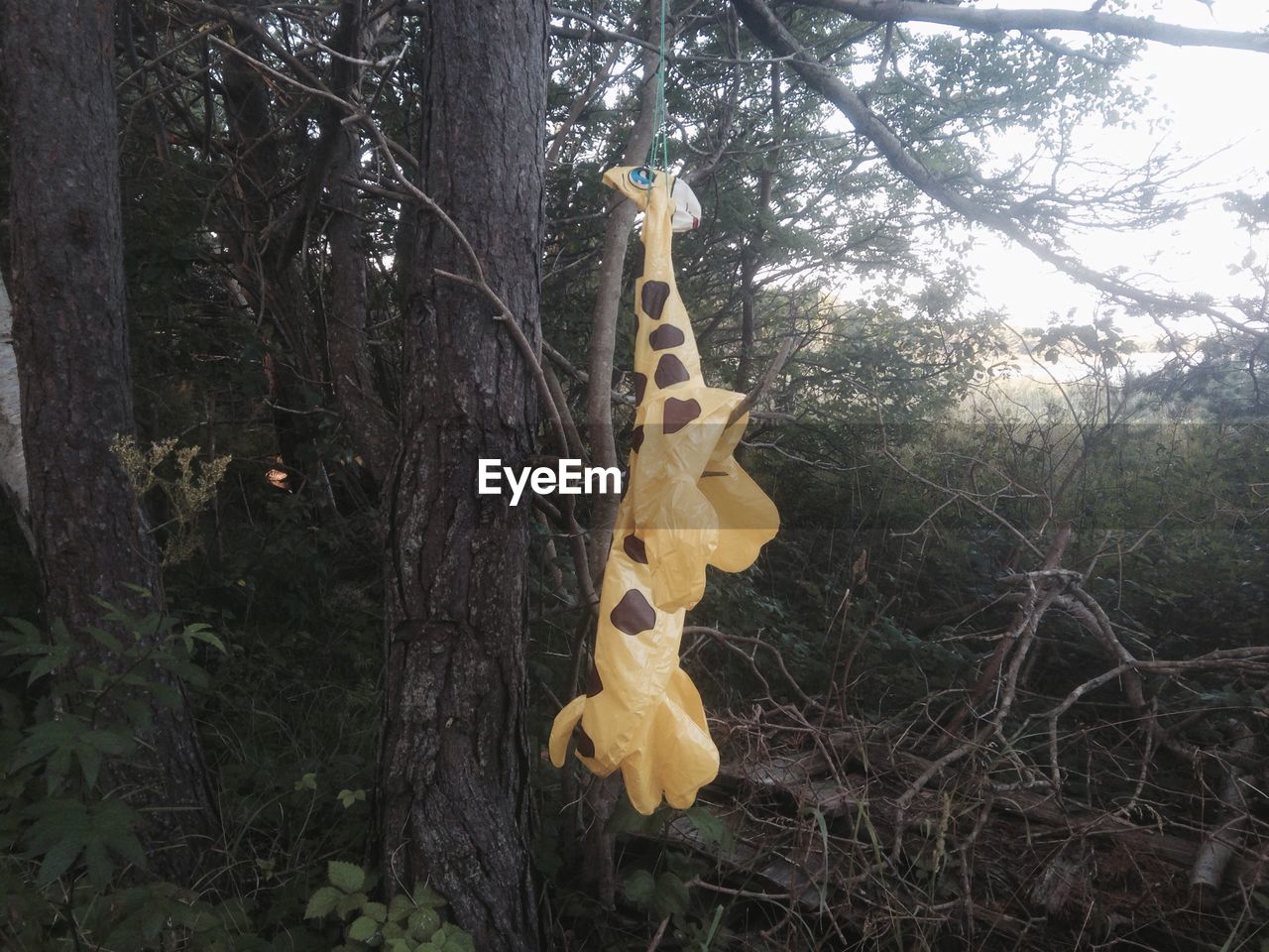 Giraffe balloon hanging from string against tree