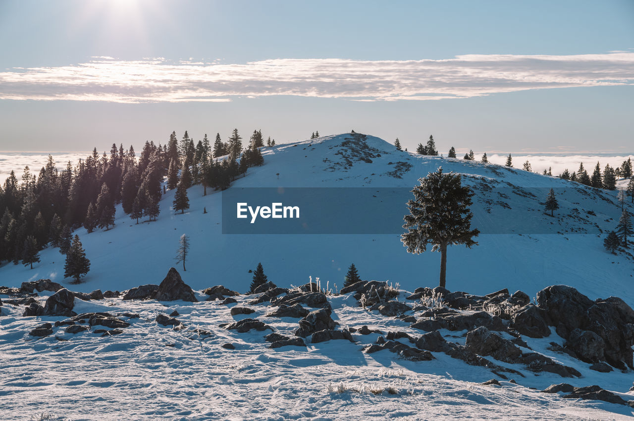 Sunny winter landscape on velika planina