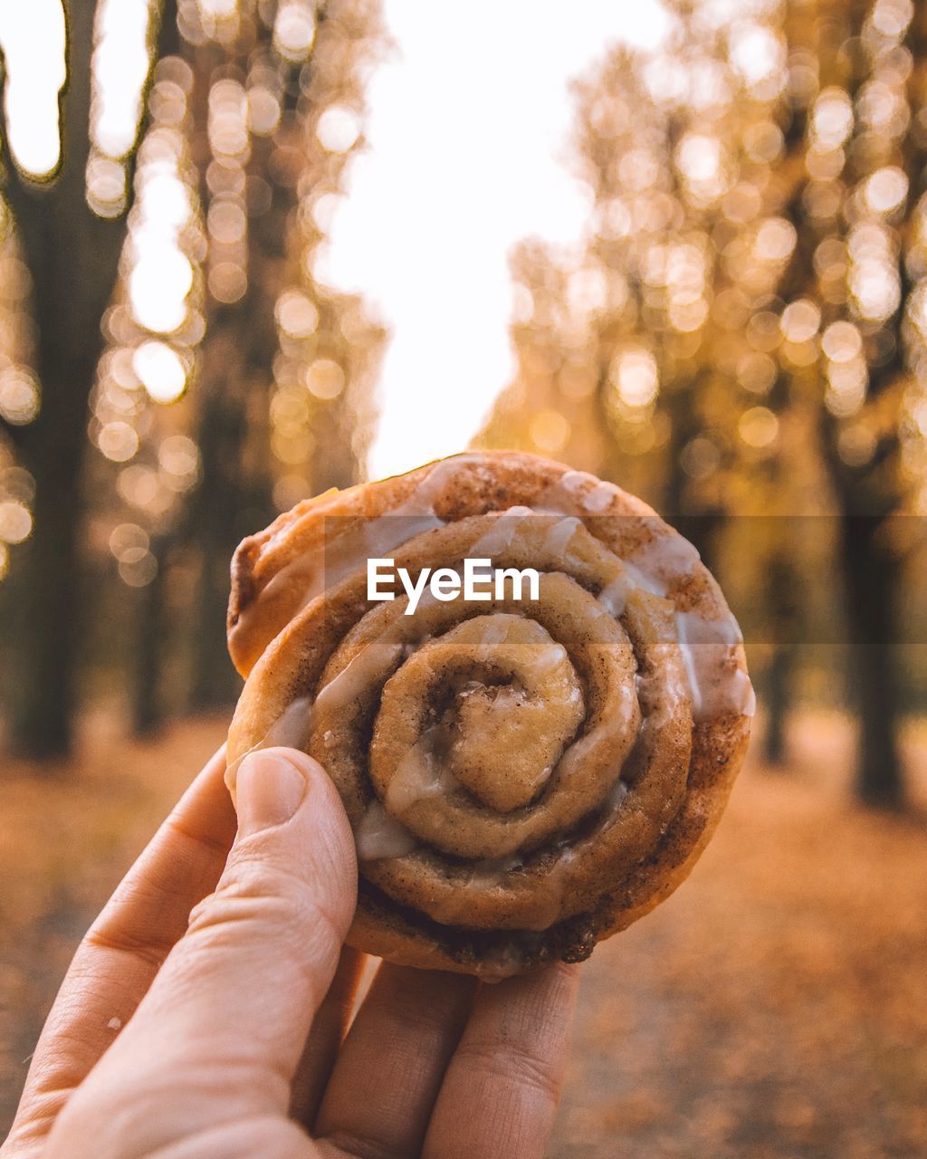 Cropped image of hand holding cookie against trees