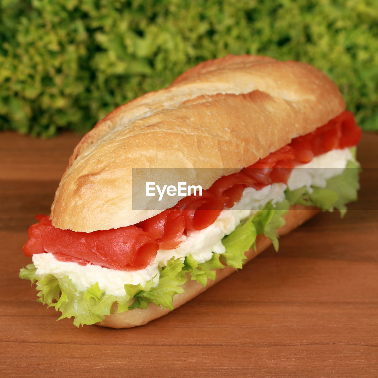 CLOSE-UP OF SANDWICH